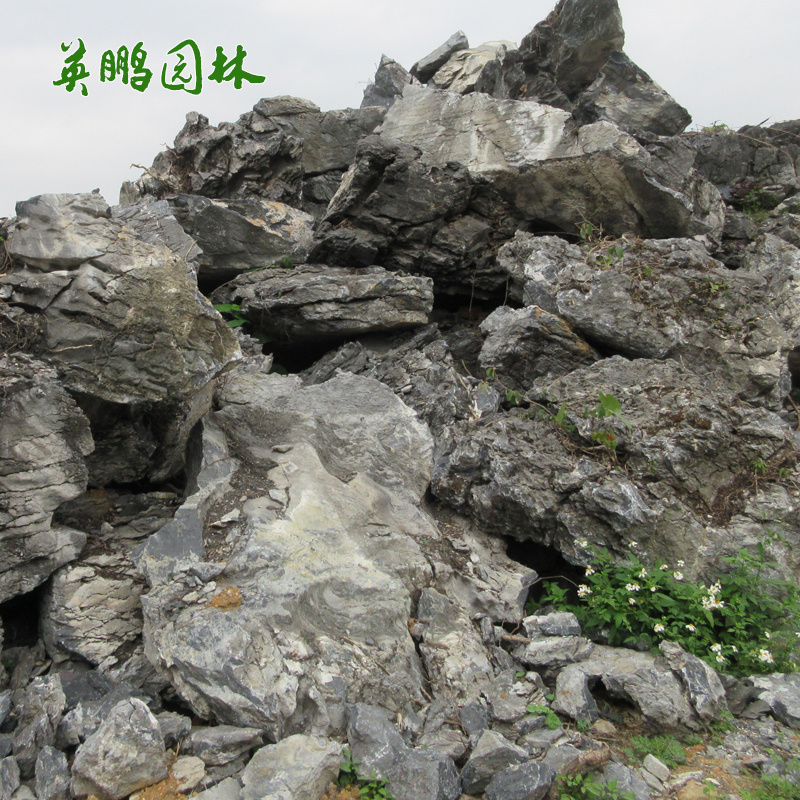  自然附樹(shù)疊式英石原石 園林景觀(guān)青龍石造景 草坪駁岸石